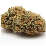 Шишки AK47  (Гидропоника, Бошка) VHQ в Белореченске